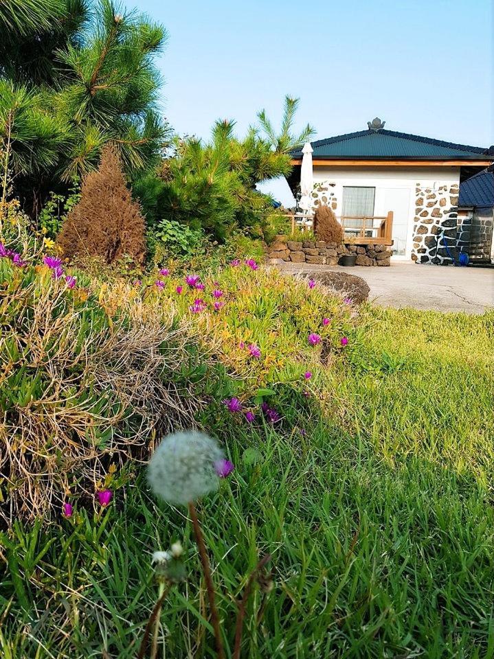 Hadori Mindfulness Villa Csedzsu Kültér fotó