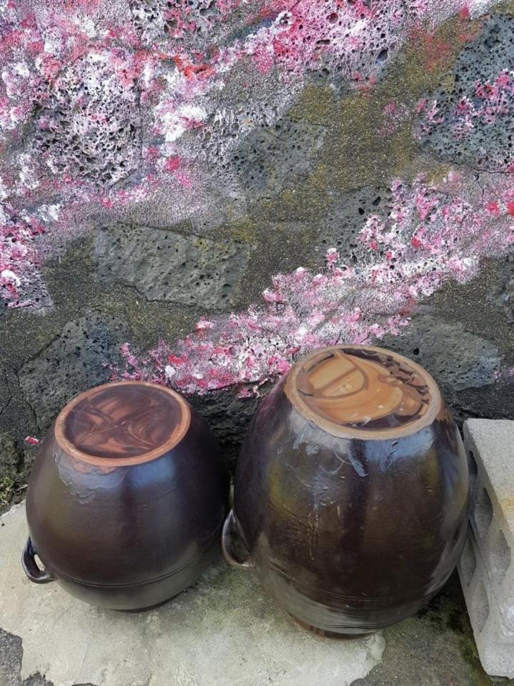 Hadori Mindfulness Villa Csedzsu Kültér fotó